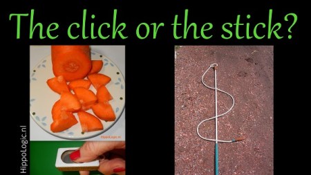 carrot or the stick_hippologic clickertraining.ca